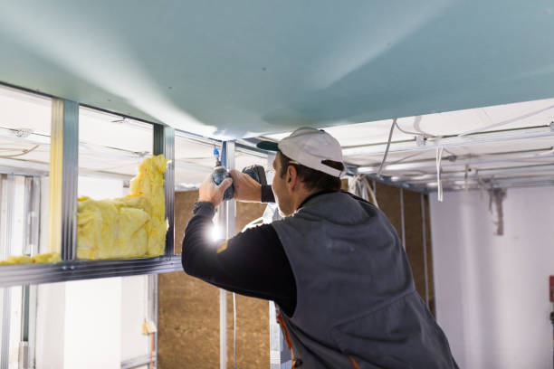 Best Geographic-Specific Insulation Services in Benwood, WV