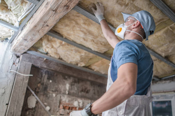 Best Commercial Insulation in Benwood, WV