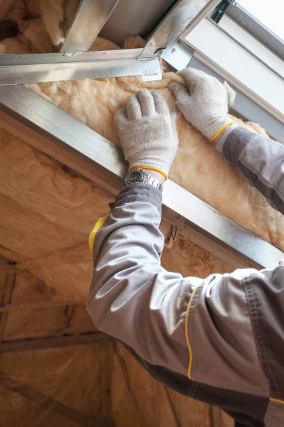 Best Geographic-Specific Insulation Services in Benwood, WV