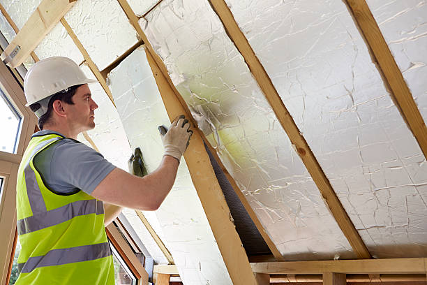 Best Specialized Insulation Services in Benwood, WV