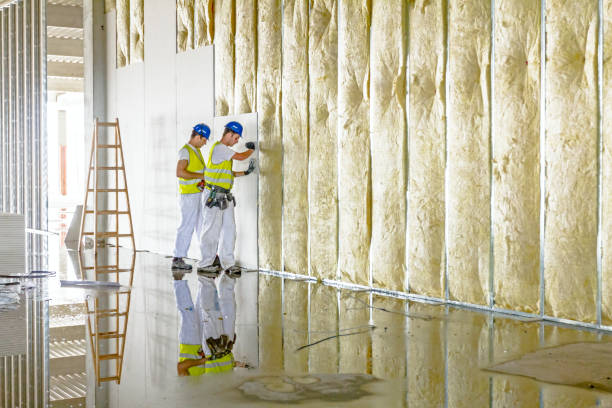 Types of Insulation We Offer in Benwood, WV